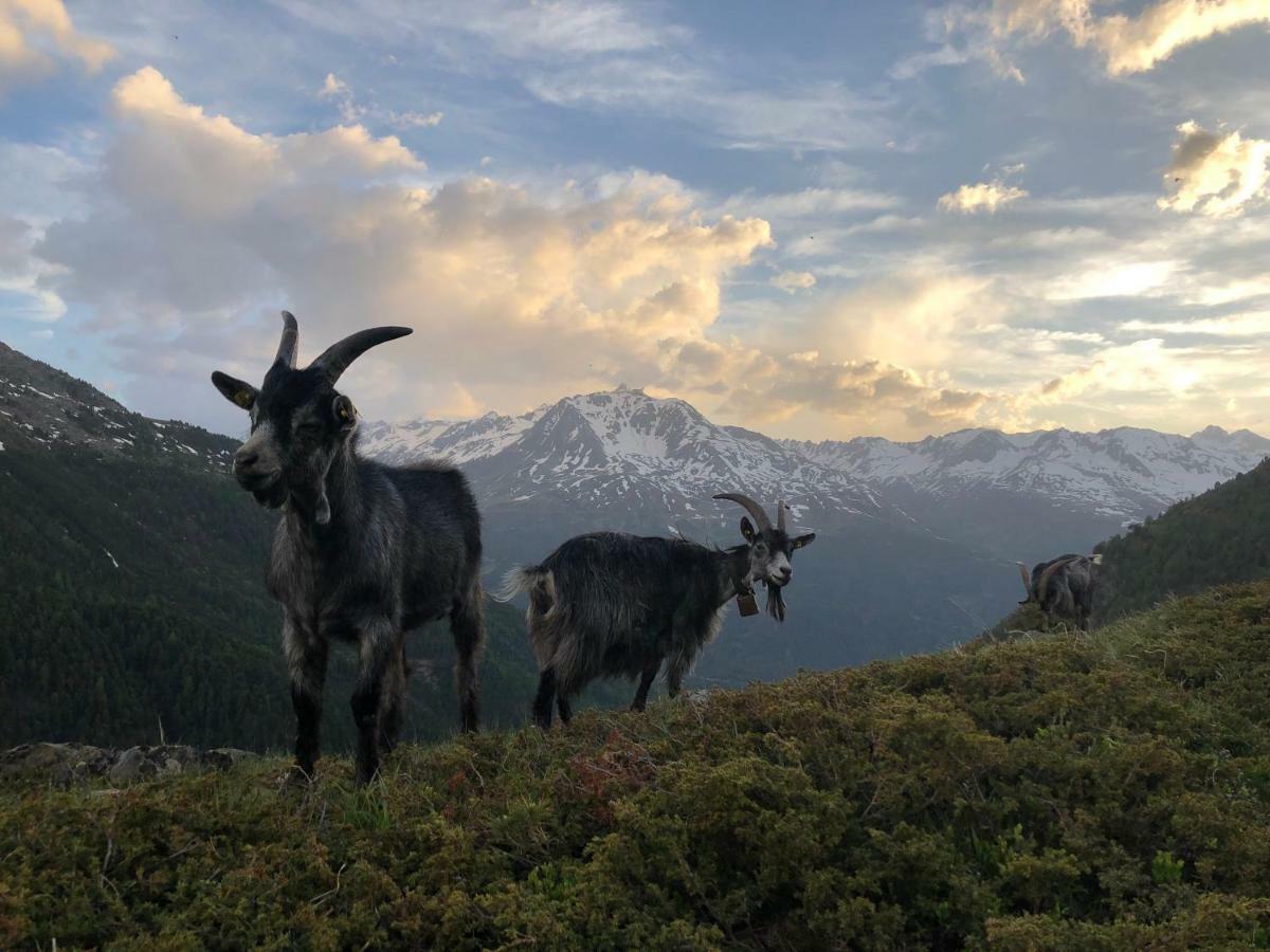 Granbichlhof Lejlighed Sölden Eksteriør billede