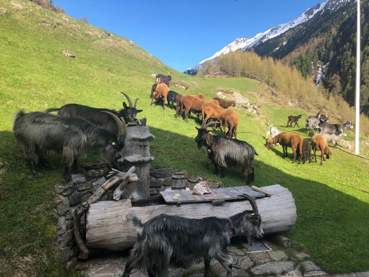Granbichlhof Lejlighed Sölden Eksteriør billede