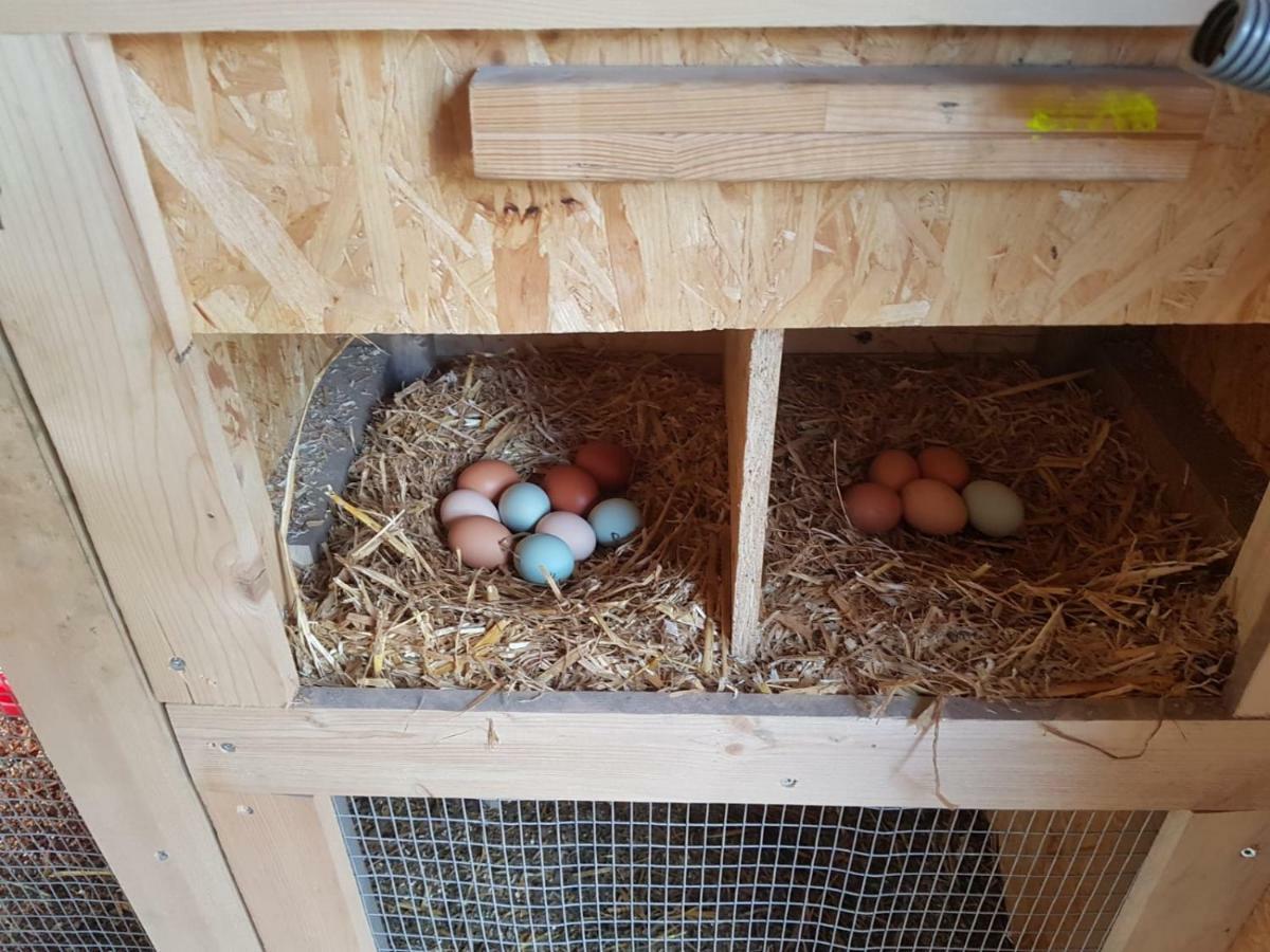 Granbichlhof Lejlighed Sölden Eksteriør billede